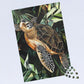 Turtle Jigsaw puzzle 1000 pieces