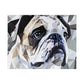 English bulldog Jigsaw puzzle 250 pieces