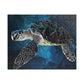 Sea turtle Jigsaw puzzle 100 pieces